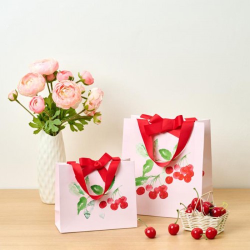 Recycled Printed Christmas Celebration Gifts Packing Paper Bag Shopping Bag Takeaway Bag
