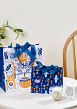 Paper Bag