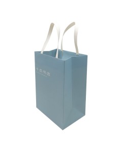 Ivory Paper Material Blue Printing Package Bag With Plastic Handle