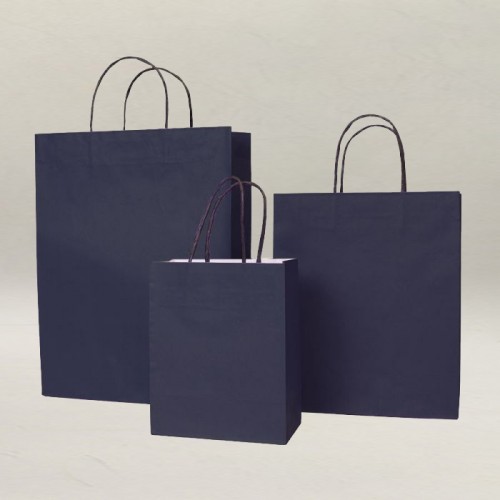 Natural Color White Or Kraft Paper Material  Bag Food Bag Carrier Bag With Twisted Paper Handle